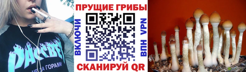 Псилоцибиновые грибы Magic Shrooms  Купить  Северодвинск 